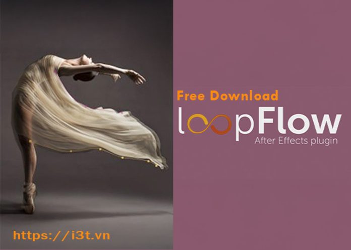 loopflow plugin